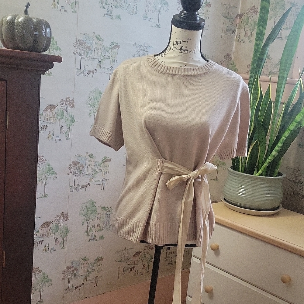REPOSH ZARA lightweight short sleeved sweater NWOT